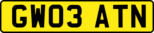 GW03ATN