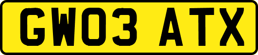 GW03ATX