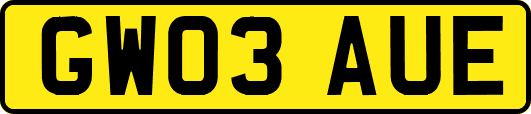 GW03AUE