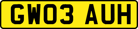 GW03AUH