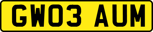 GW03AUM