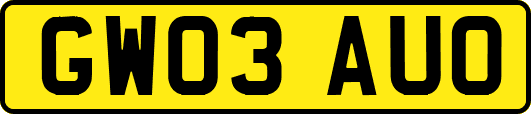 GW03AUO