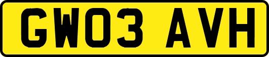 GW03AVH