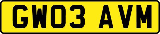 GW03AVM
