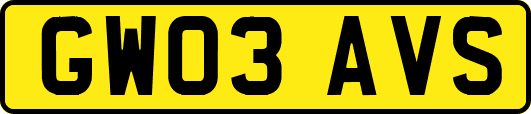 GW03AVS