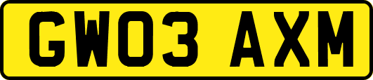 GW03AXM