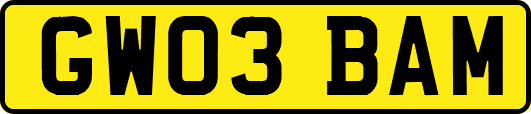 GW03BAM