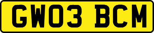 GW03BCM
