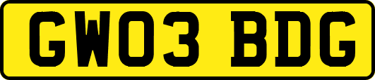 GW03BDG