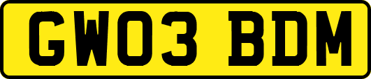 GW03BDM