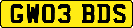 GW03BDS