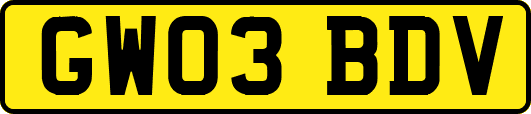 GW03BDV