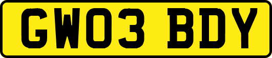 GW03BDY