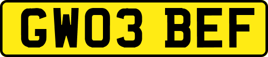 GW03BEF