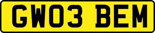 GW03BEM