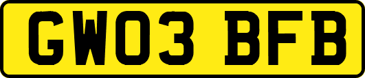 GW03BFB