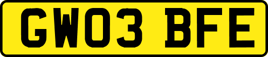 GW03BFE
