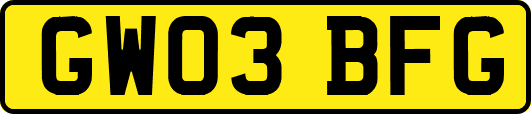 GW03BFG