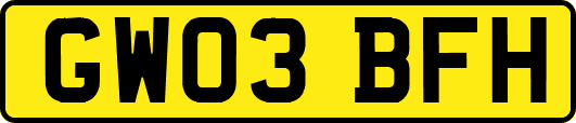 GW03BFH