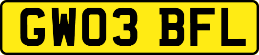 GW03BFL