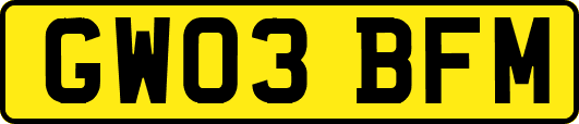GW03BFM