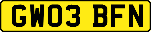 GW03BFN