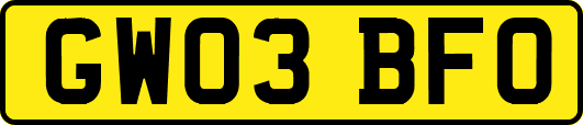 GW03BFO