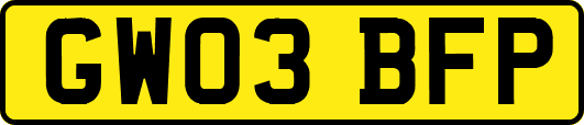 GW03BFP