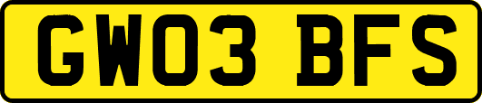 GW03BFS