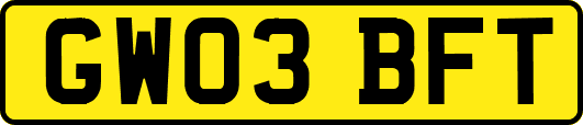 GW03BFT