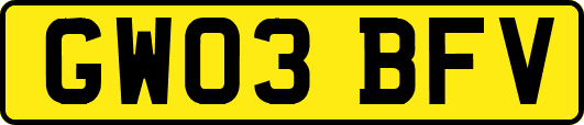 GW03BFV