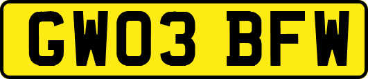 GW03BFW