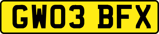 GW03BFX