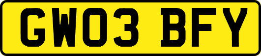 GW03BFY