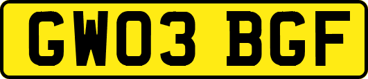 GW03BGF
