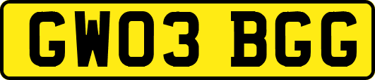GW03BGG