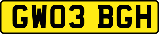 GW03BGH