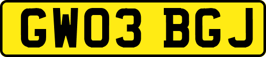 GW03BGJ