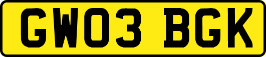 GW03BGK