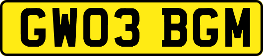 GW03BGM