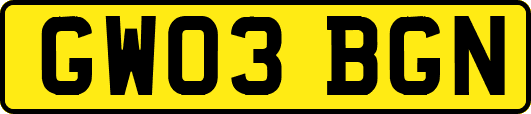 GW03BGN