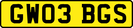 GW03BGS