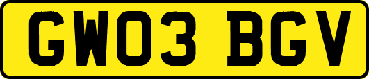 GW03BGV