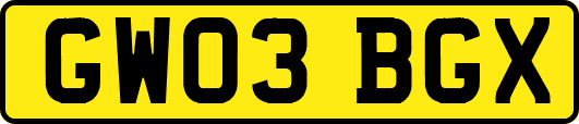 GW03BGX