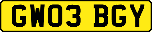 GW03BGY