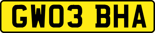 GW03BHA