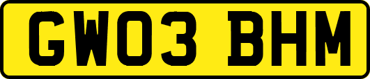 GW03BHM