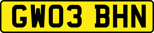 GW03BHN