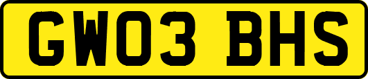 GW03BHS