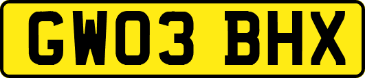 GW03BHX